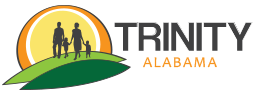 Trinity Logo with Shadow